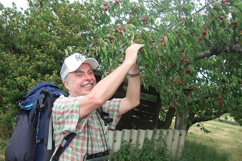 2011-05- (389).JPG - Verführerisch, das Obst nach dem Frühstück